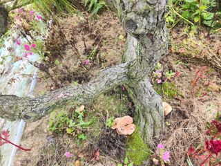 토마토21409님의 자유주제 · 자유게시판 작성글 사진