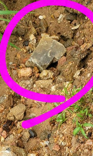 풀향기꽂향기님의 팜모닝 · 출석 작성글 사진