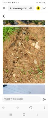 팜모닝 팜모닝·출석 게시글 이미지