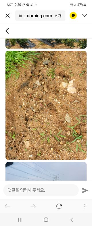 풀향기꽂향기님의 팜모닝 · 출석 작성글 사진