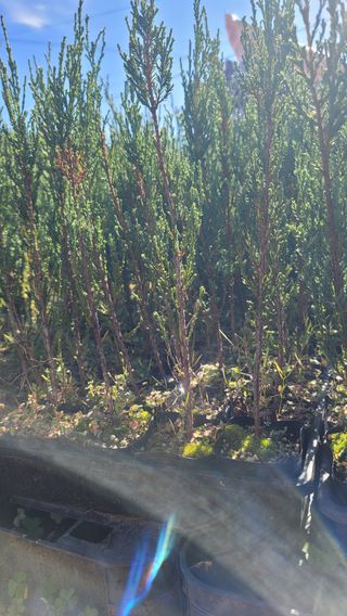 이선미님의 작성글 사진