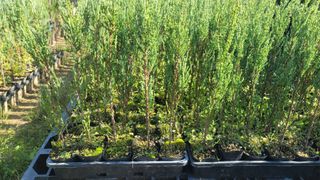 이선미님의 작성글 사진