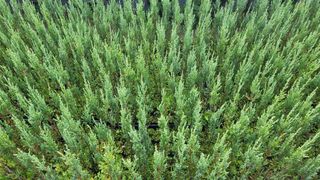 이선미님의 작성글 사진