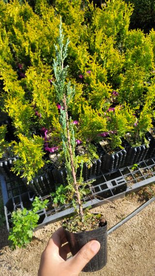 이선미님의 작성글 사진