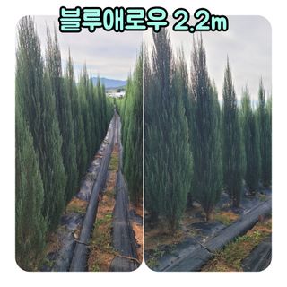 이선미님의 작성글 사진