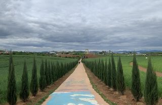 이선미님의 작성글 사진