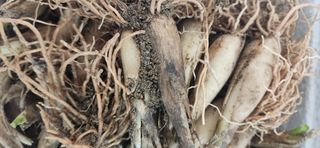 홍새싹님의 작성글 사진