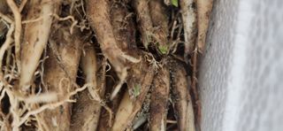 홍새싹님의 작성글 사진