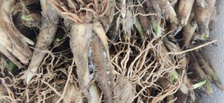 홍새싹님의 작성글 사진