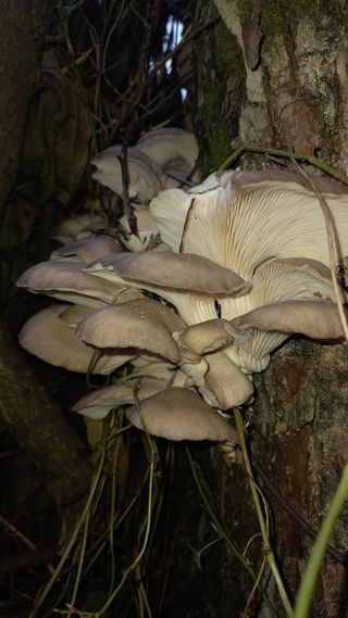 대지털님의 자유주제 · 자유게시판 작성글 사진