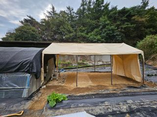 뿡뿡농장님의 블루베리 · 영농일지 작성글 사진