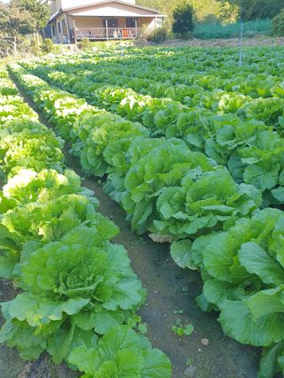 안비님의 자유주제 · 자유게시판 작성글 사진