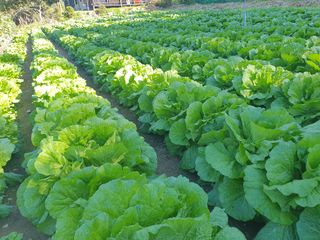 안비님의 자유주제 · 자유게시판 작성글 사진