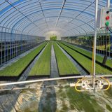 팜모닝 10월 내 농작물 자랑하기·참여글 게시글 이미지