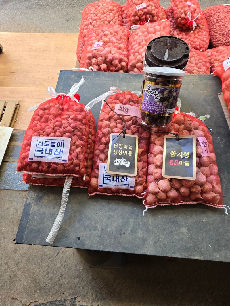 이완희님의 장터 판매 상품 [종자용및식용통마늘1kg2만원] 첨부 사진