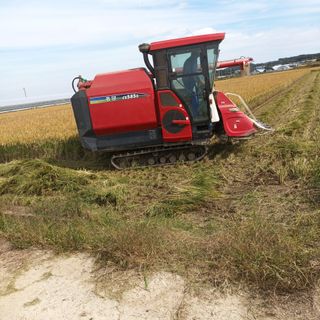 김재원금마님의 자유주제 · 자유게시판 작성글 사진