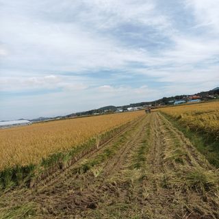 김재원금마님의 자유주제 · 자유게시판 작성글 사진
