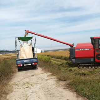 김재원금마님의 자유주제 · 자유게시판 작성글 사진