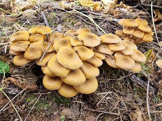 권병☆님의 자유주제 · 자유게시판 작성글 사진