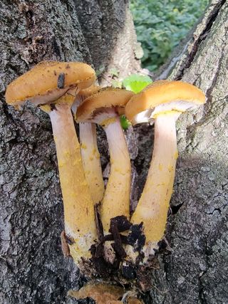 권병☆님의 자유주제 · 자유게시판 작성글 사진