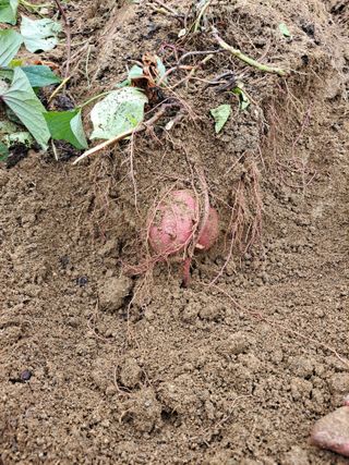 좋은인연원님의 자유주제 · 자유게시판 작성글 사진