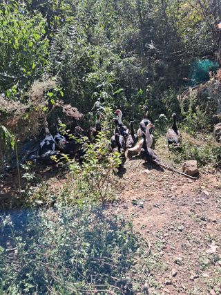 정상훈님의 자유주제 · 자유게시판 작성글 사진