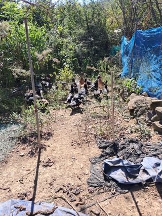 정상훈님의 자유주제 · 자유게시판 작성글 사진