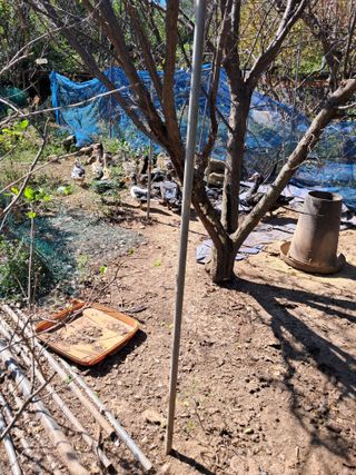 정상훈님의 자유주제 · 자유게시판 작성글 사진