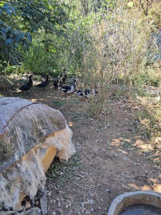 정상훈님의 자유주제 · 자유게시판 작성글 사진