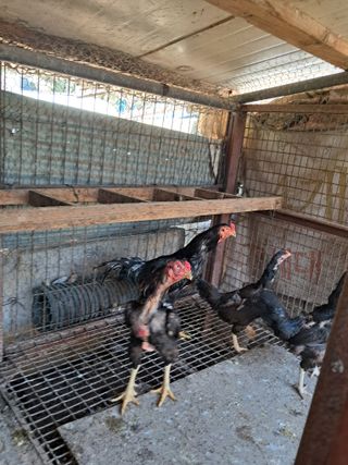 정상훈님의 자유주제 · 자유게시판 작성글 사진