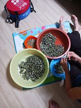 팜모닝 자유주제·자유게시판 게시글 이미지