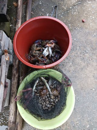 형아님의 자유주제 · 자유게시판 작성글 사진