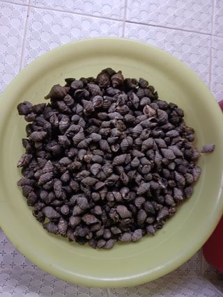 형아님의 자유주제 · 자유게시판 작성글 사진