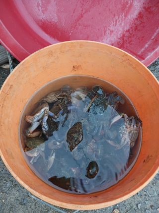 형아님의 자유주제 · 자유게시판 작성글 사진