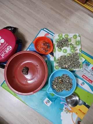 형아님의 자유주제 · 자유게시판 작성글 사진