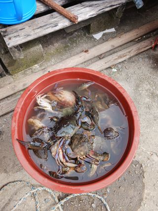 형아님의 자유주제 · 자유게시판 작성글 사진