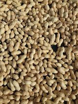 팜모닝 자유주제·자유게시판 게시글 이미지