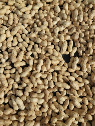 임기석님의 자유주제 · 자유게시판 작성글 사진