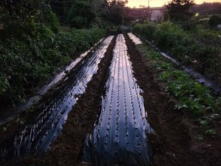 차동근님의 자유주제 · 자유게시판 작성글 사진