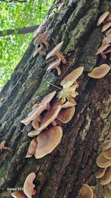 팜모닝 자유주제·자유게시판 게시글 이미지