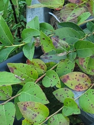 대박농부님의 농사, 무엇이든 물어보세요! · 참여글 작성글 사진