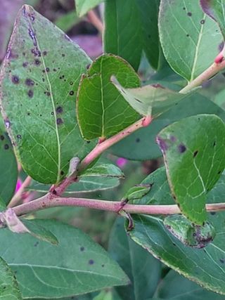 대박농부님의 농사, 무엇이든 물어보세요! · 참여글 작성글 사진