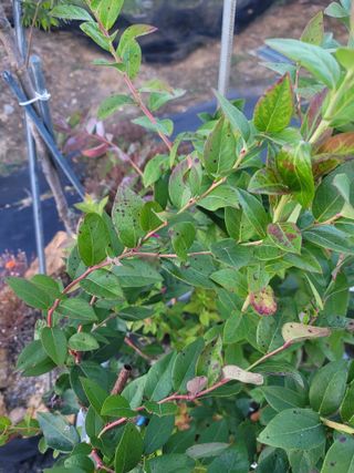 대박농부님의 농사, 무엇이든 물어보세요! · 참여글 작성글 사진