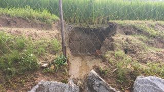 이용욱님의 팜모닝 · 출석 작성글 사진