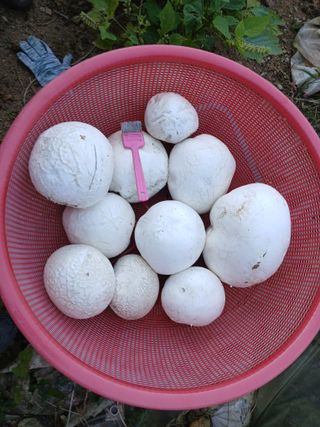 감19765님의 자유주제 · 자유게시판 작성글 사진