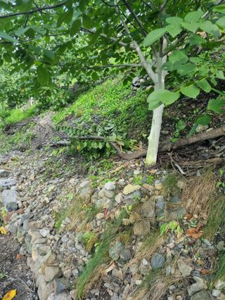 김용대님의 자유주제 · 자유게시판 작성글 사진