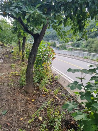 김용대님의 자유주제 · 자유게시판 작성글 사진