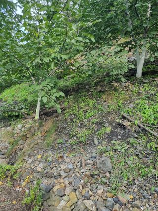 김용대님의 자유주제 · 자유게시판 작성글 사진