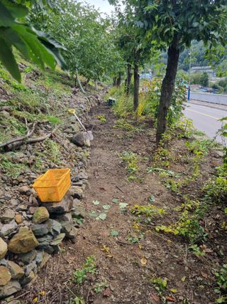 김용대님의 자유주제 · 자유게시판 작성글 사진