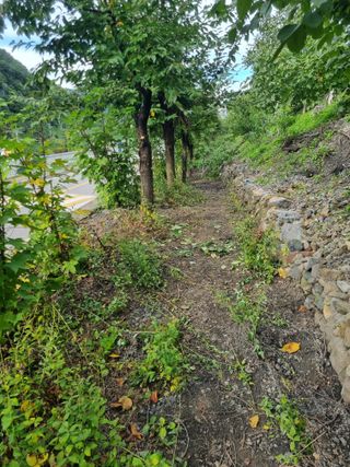 김용대님의 자유주제 · 자유게시판 작성글 사진